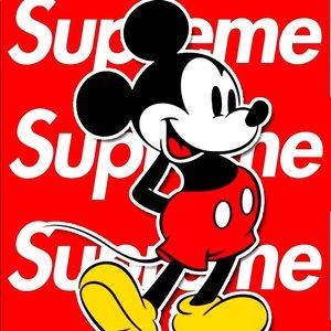 Meet your Posher, Brady